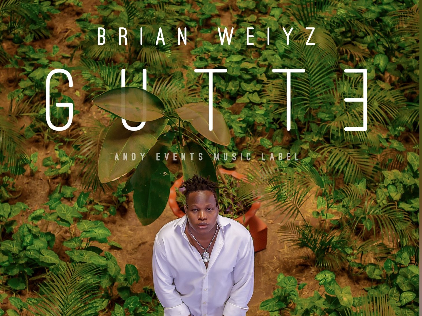 Brian Weiyz